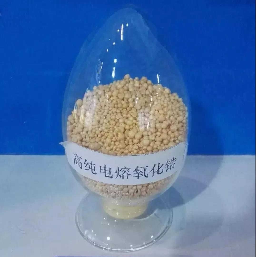 冠軍5.jpg 冠軍5.jpg