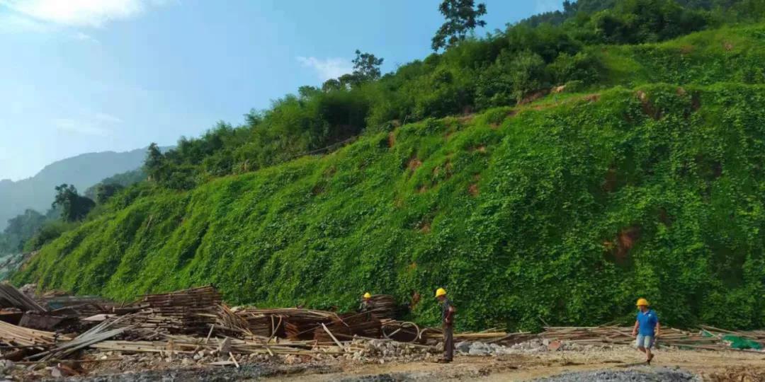 1641779627888778.jpg 10.jpg